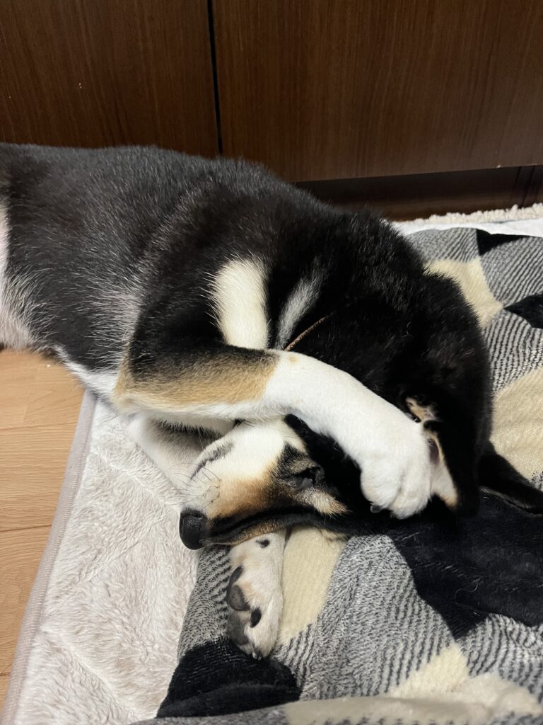 梅雨が来たらどうなる???
