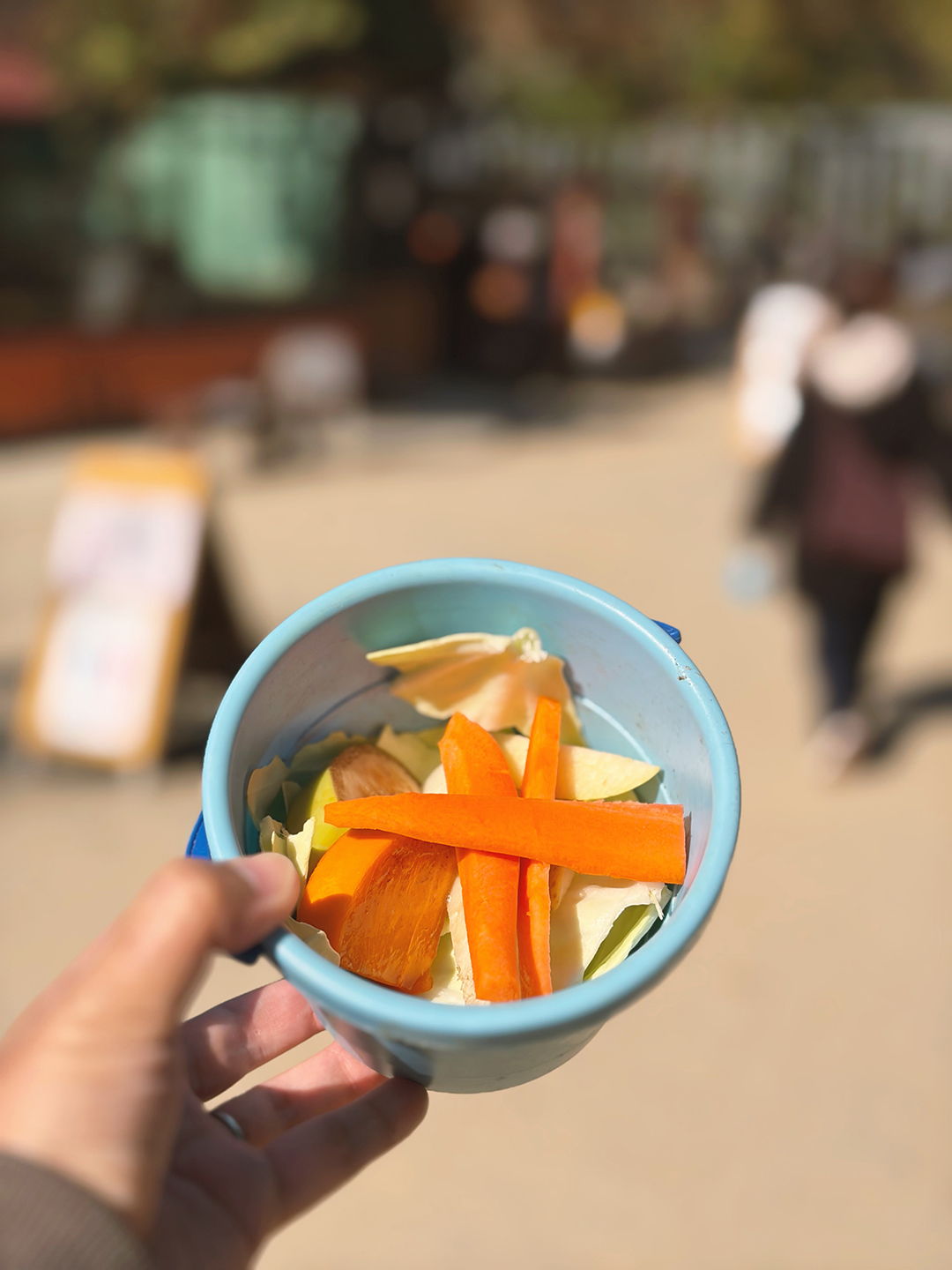 1 | バンブーデザイン｜愛媛県の広告デザイン会社です。