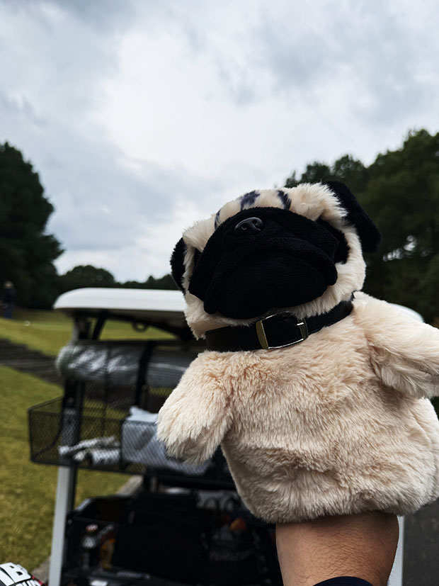 食べ物しかフォルダに無いのよ。