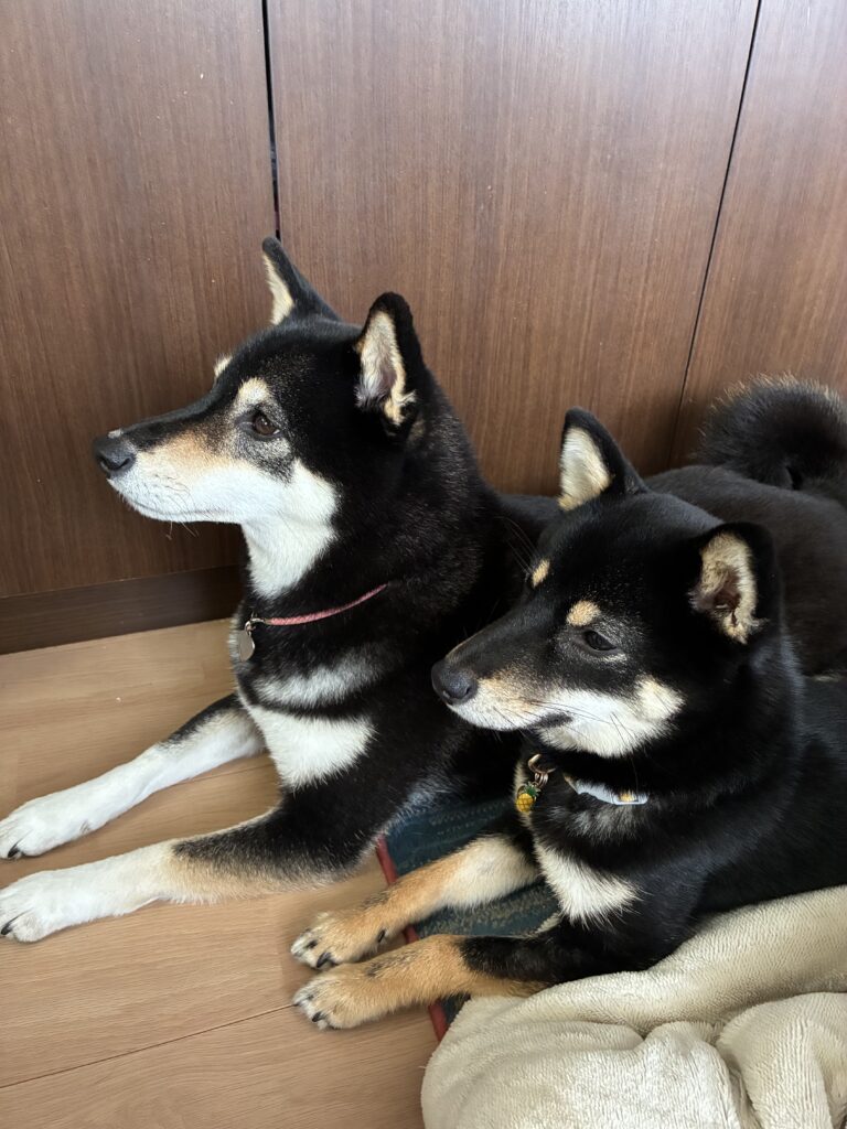 ドライヤーがよかったな〜〜〜