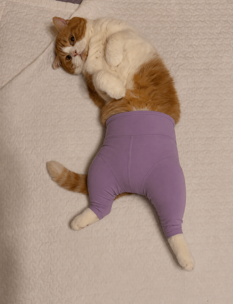 もっ◯りん